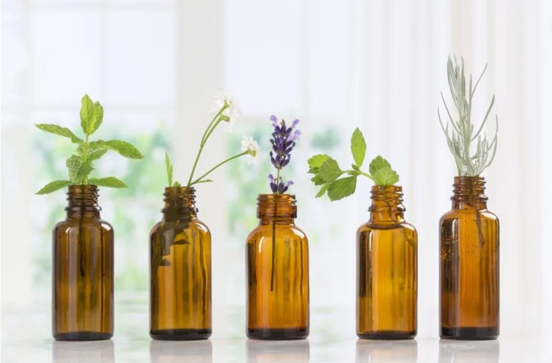 Which Essential Oil Should You Choose?